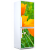Adesivo frigorifero stickers frigo rivestimento frigorifero pellicole per frigorifero 75